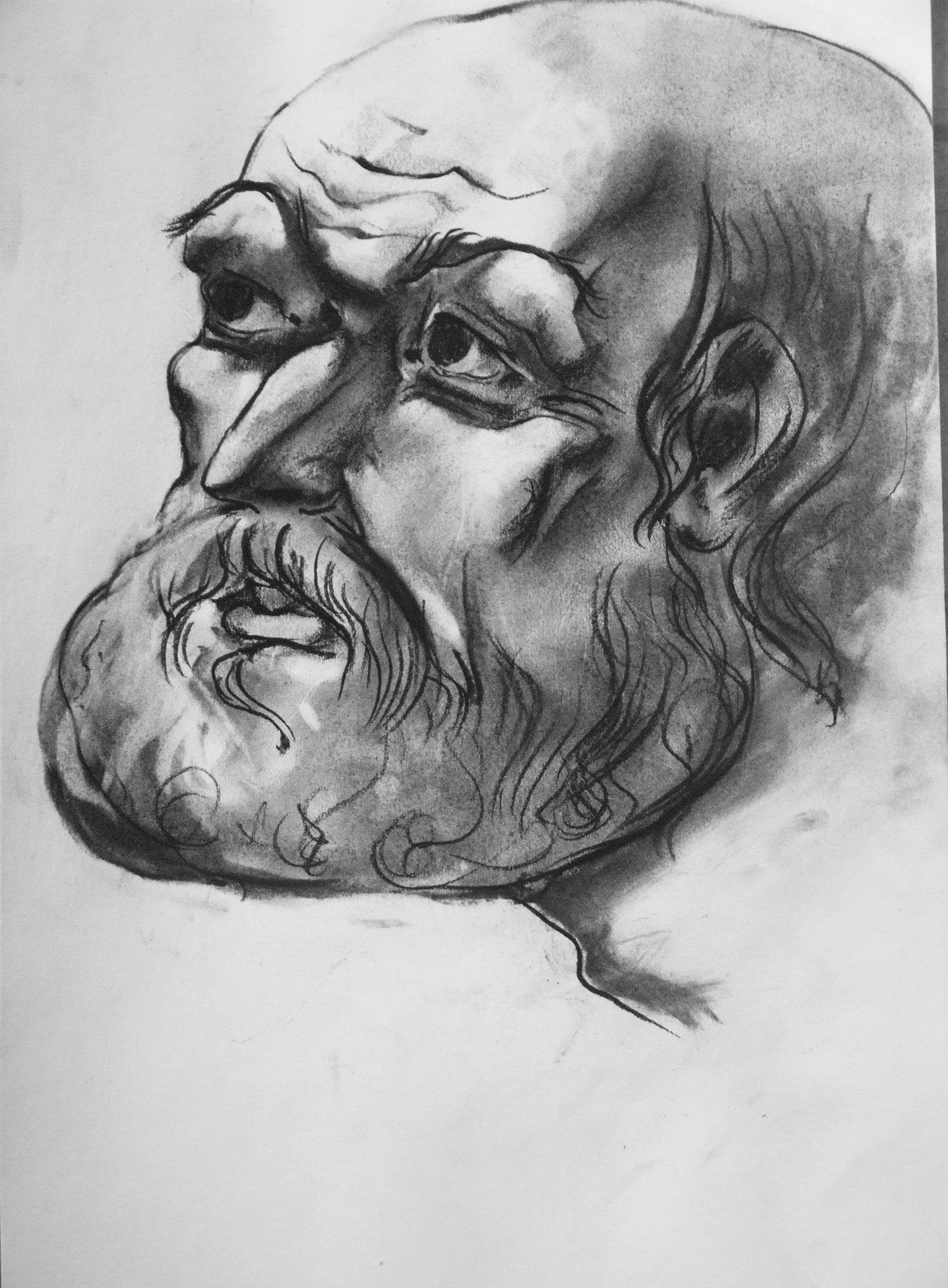 Denys Savchenko. Drawings. Charcoal. Portrait